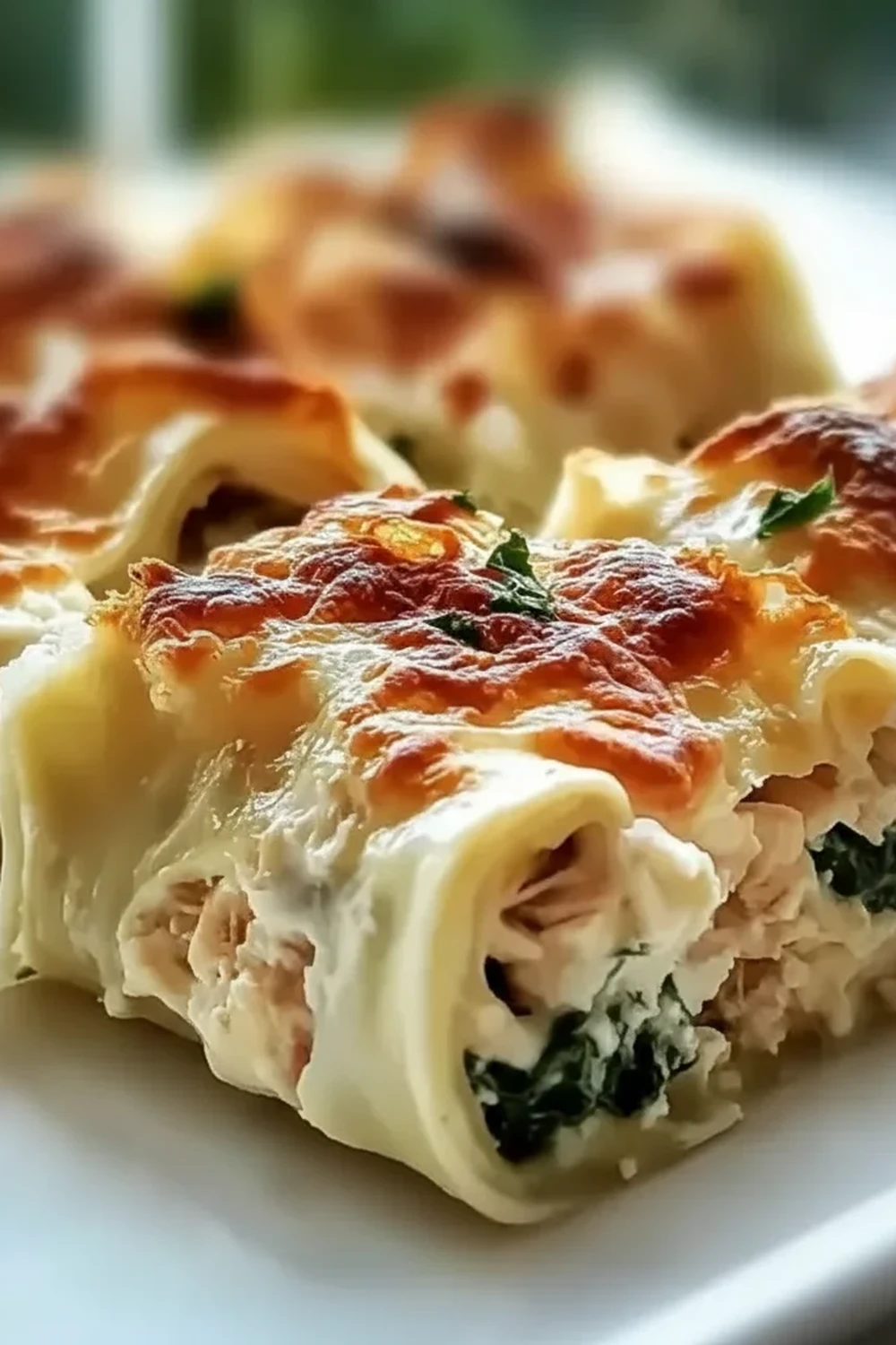 Chicken Spinach Lasagna Rolls