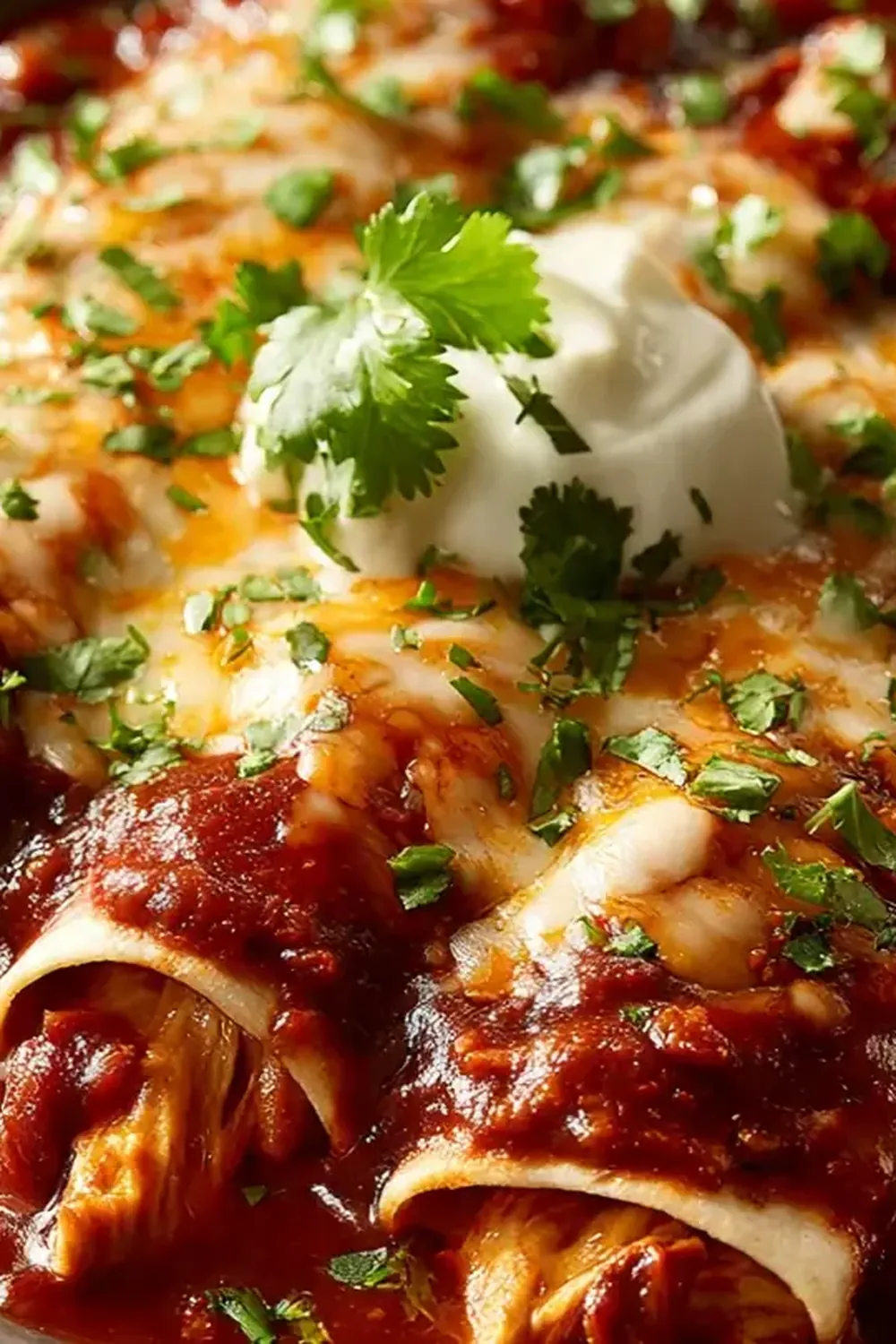 Spicy Mexican Chicken Enchiladas (Red Chili)