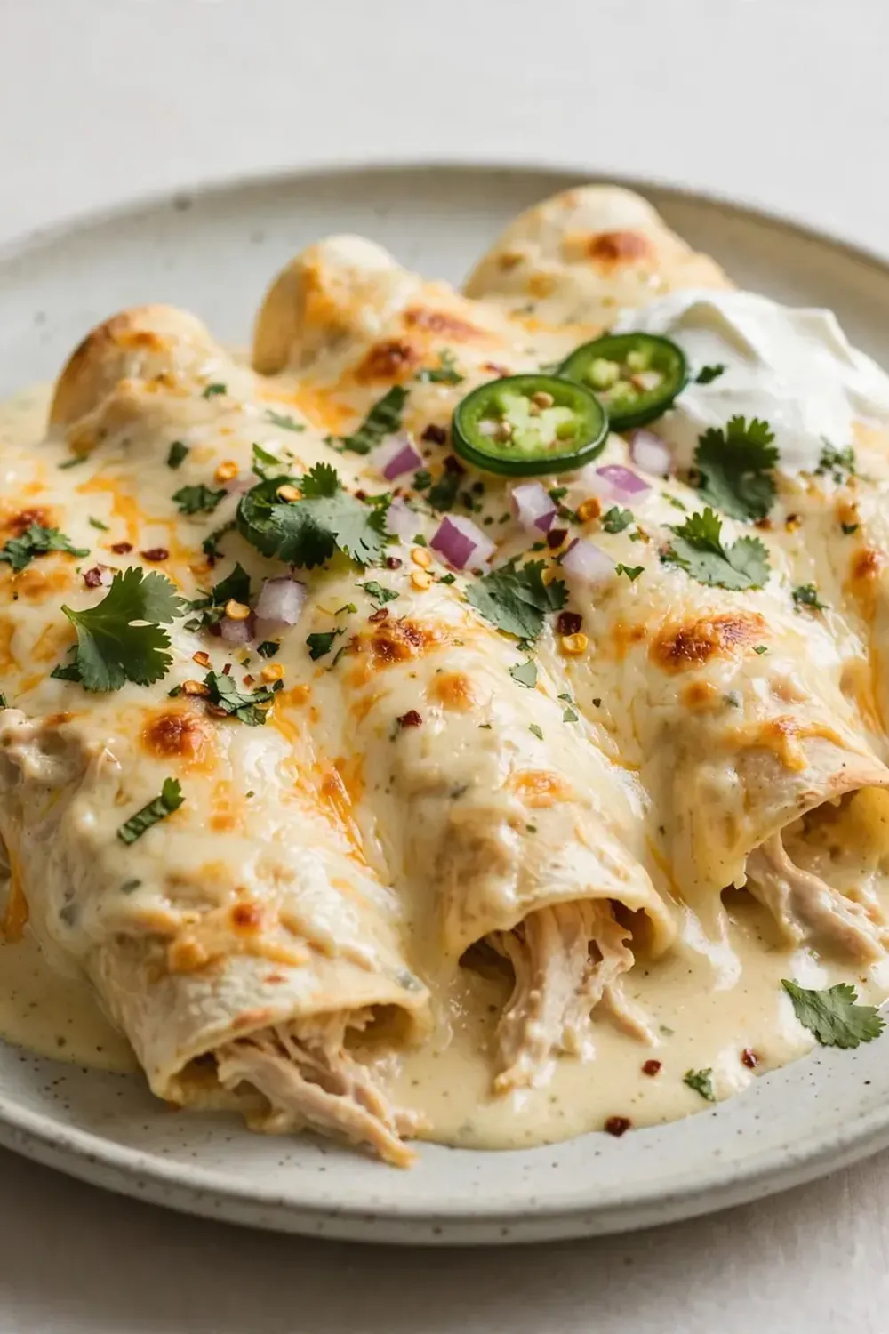 Creamy Chicken Enchiladas